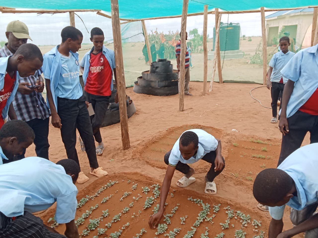 WFP-Backed Initiative Equips Wajir Youth With Food Production Skills